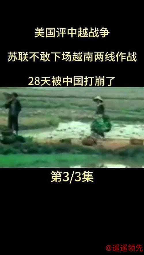 0-3被中国队打爆！越南人不服：若非铁血中卫受伤 你们根本赢不了