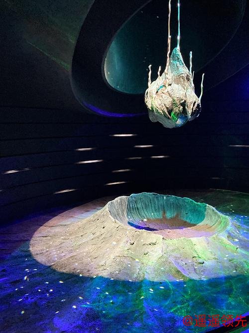 穿越46亿年 《重返海洋》科学艺术展在国家海洋博物馆启幕