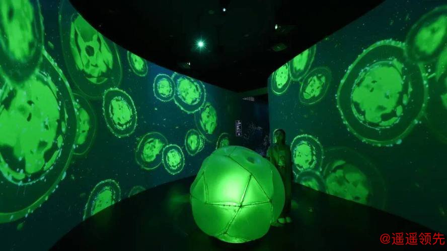 穿越46亿年 《重返海洋》科学艺术展在国家海洋博物馆启幕